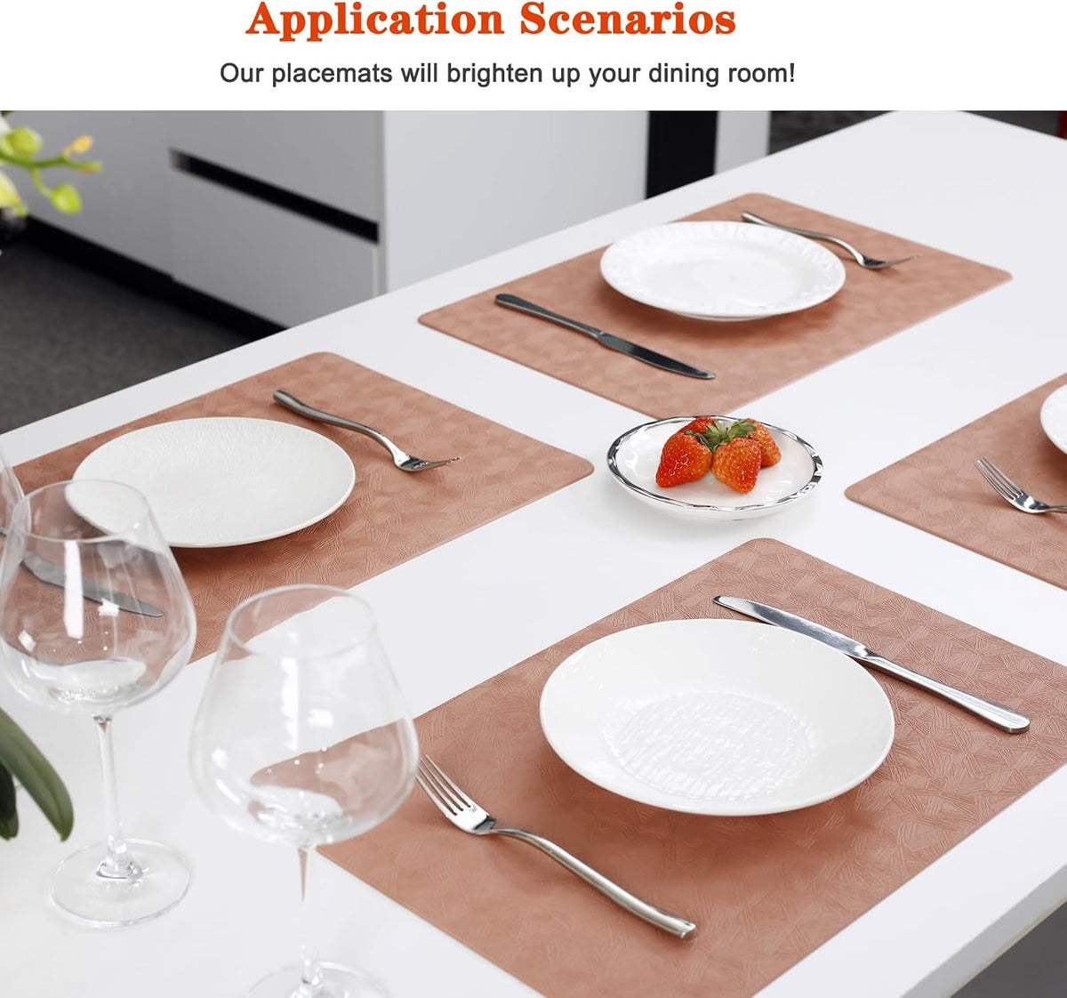 Coral Vinyl Placemats Set of 12 Waterproof Wipeable Table Mats