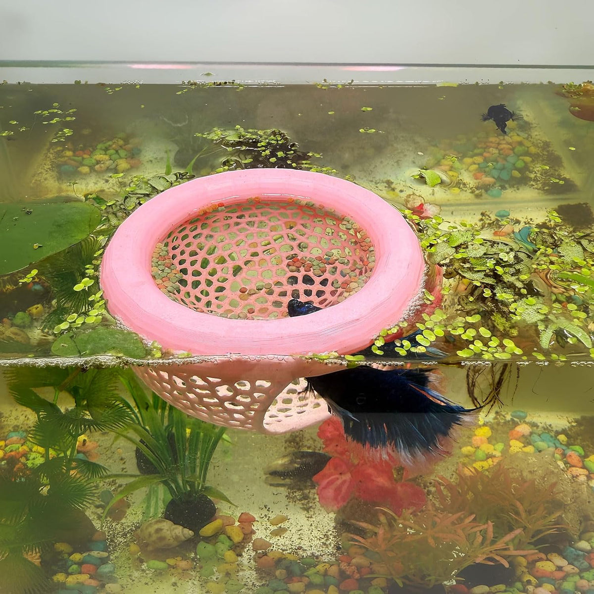 Aquarium Floating Betta Fish Skins, Betta or Shrimp Feeder, Cave and Hammock, Small Fish Feeding Rings, Aquarium Hiding Feeding Decorative Accessories (Pink)