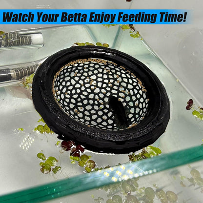 Aquarium Floating Betta Fish Skins, Betta or Shrimp Feeder, Cave and Hammock, Small Fish Feeding Rings, Aquarium Hiding Feeding Decorative Accessories (Pink)