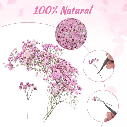 100 PCS Dried Babys Breath Flowers, Mini Pressed Flowers for Crafts, Wedding Invitation Accessories,Dried Pressed Baby Breath for Resin, Candle, Soap, Scrapbooking(Pink)