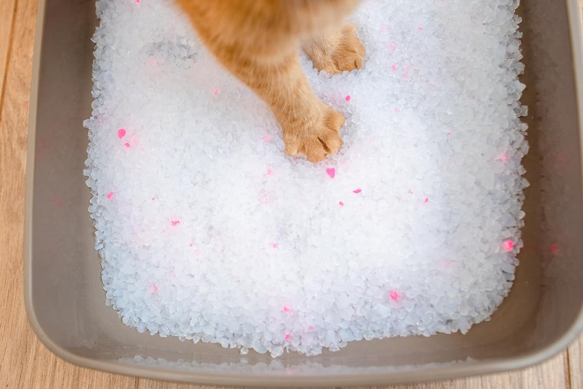 Calitti Premium Crystal Cat Litter – 99.9% Dust Free, Maximum Odor Control, Soft on Paws, Low Tracking, Lightweight Silica Gel, Non-Clumping, Multi-Cat, Unscented – 8 lb Bag