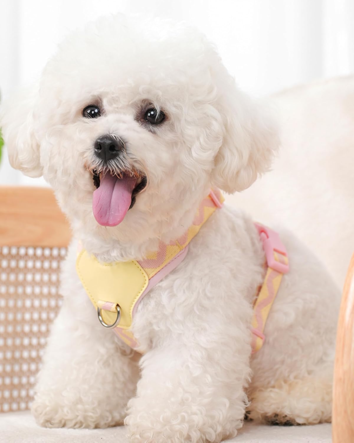 Petank Pink xs Dog Harness for Small Dogs, No Pull Dog Harness with 2 Leash Clips, Puppy Harness, Adjustable Dog Vest Harness (Pink, XS)