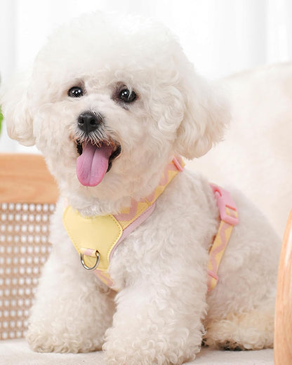 Petank Pink xs Dog Harness for Small Dogs, No Pull Dog Harness with 2 Leash Clips, Puppy Harness, Adjustable Dog Vest Harness (Pink, XS)