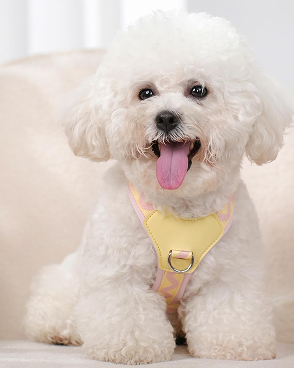 Petank Pink xs Dog Harness for Small Dogs, No Pull Dog Harness with 2 Leash Clips, Puppy Harness, Adjustable Dog Vest Harness (Pink, XS)