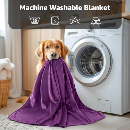 LOOBANI Waterproof Blanket for Bed: Reversible Soft Flannel Twin Bed Blanket 60" x 80", Leakproof Throw Spill-Proof Dog Pet Blanket for Couch, Sofa Protect, Movie Time, Camping, Travel, Purple