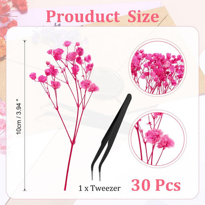 Mini Dried Gypsophila Flower Kit, 30Pcs 4 Inch Rose Pink Natural Pressed Floral Bundles with Tweezer for DIY Resin Crafts Gift Wedding Christmas Card Decor Flower Bouquets