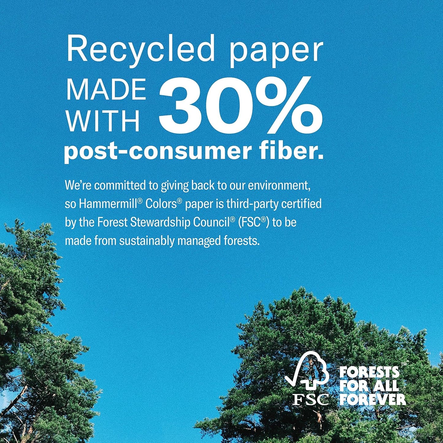 Hammermill Colored Paper, 24 lb Salmon Printer Paper, 8.5 x 11-1 Ream (500 Sheets) - Made in the USA, Pastel Paper, 103120R