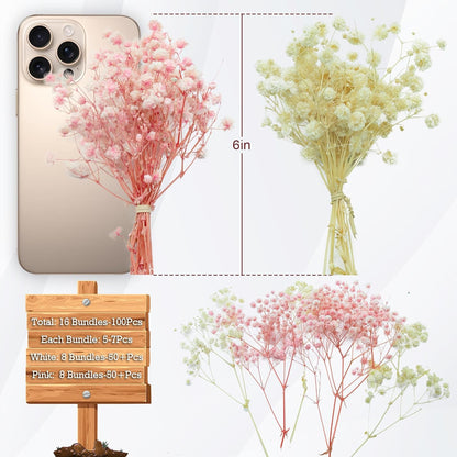 100Pcs Mini Dried Baby's Breath Flowers Pink & Cream White, 5600+ Gypsophila Bulk Bouquet, Natural Dried Flowers for Resin, Vase Decor, DIY Crafts, Wedding Wreaths and Party Decorations