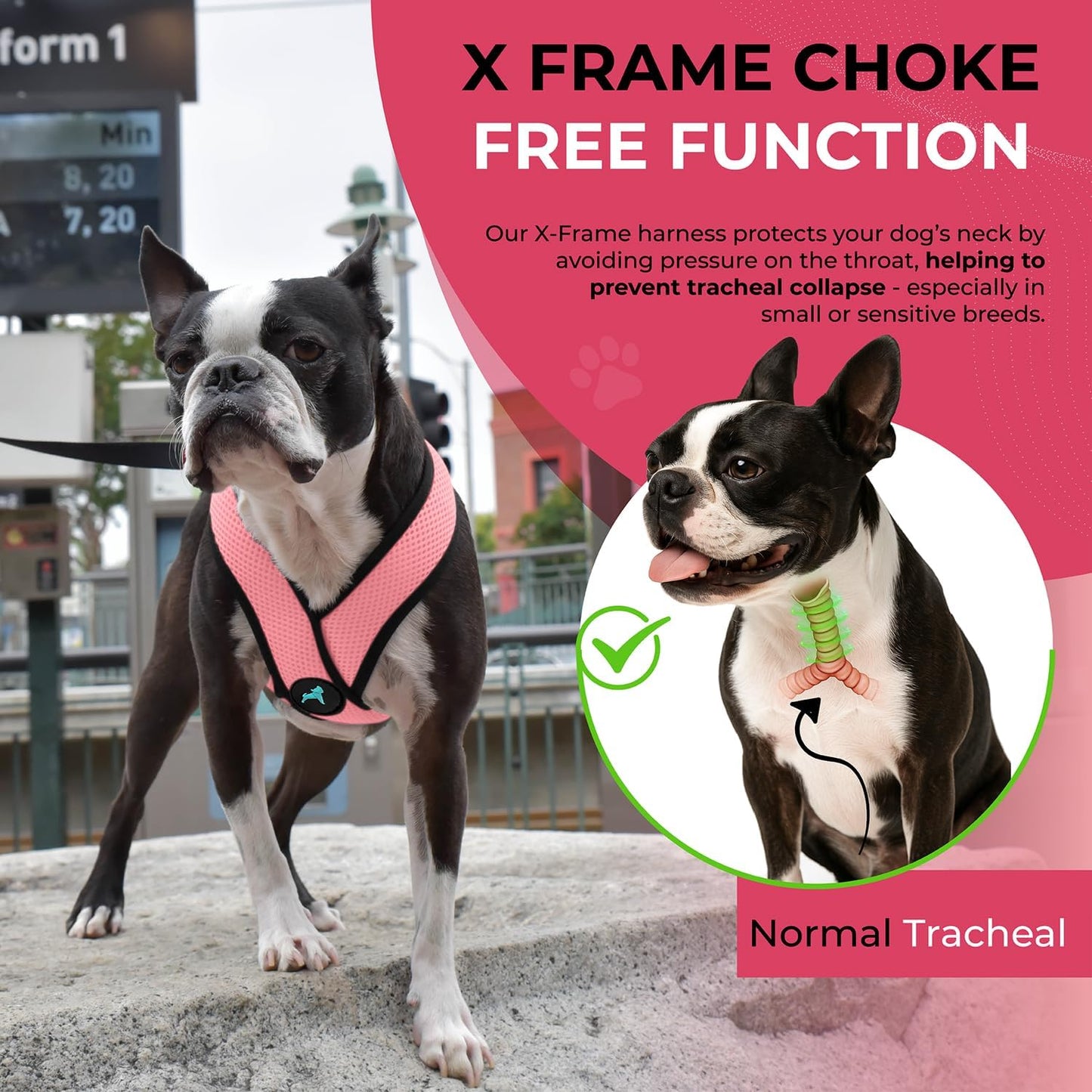 Comfort X Head in Harness - Pink, Small Harness Patented Choke-Free X Frame - Perfect on The Go Harness for Medium Dogs No Pull or Small Dogs for Indoor and Outdoor Use