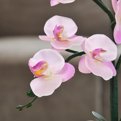15" Silk Phalaenopsis Orchid in Square Pot, Pink Shades Flower Arrangements