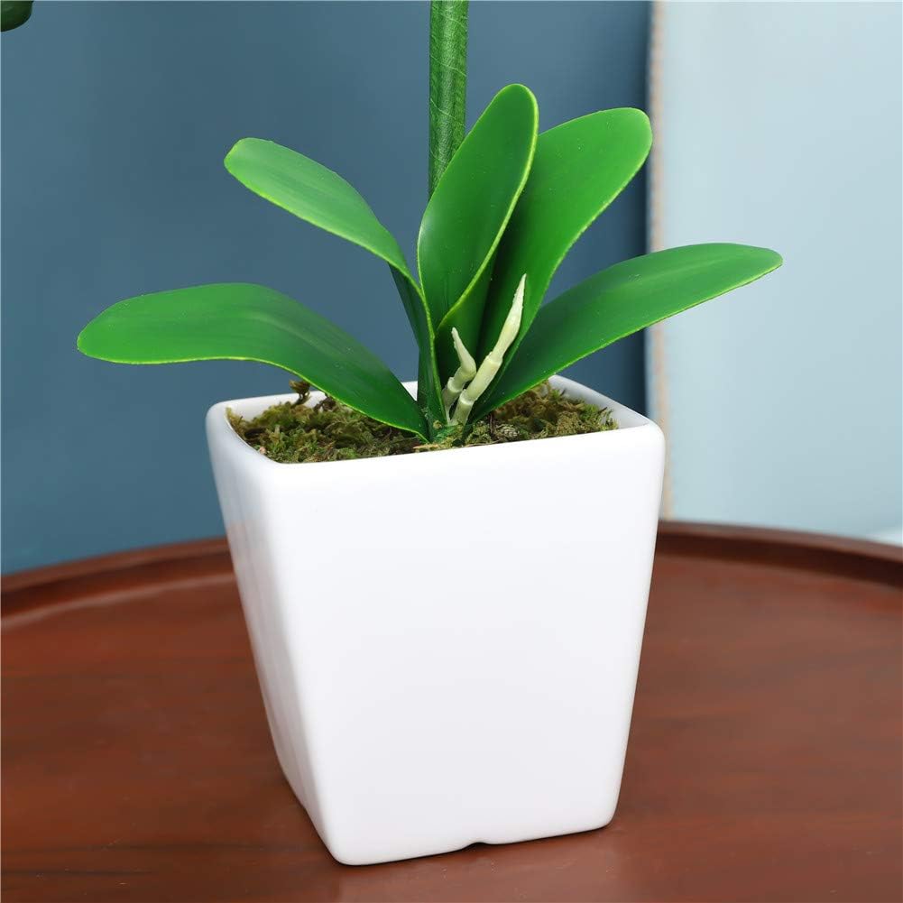 15" Silk Phalaenopsis Orchid in Square Pot, Pink Shades Flower Arrangements