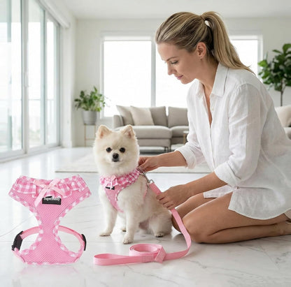 Upgraded Soft Mesh Dog Harness, Super Breathable Lightweight Pet Harnesses for Puppy Dogs Outdoor Walking, Pink Dog Harness and Dog Leash Set Packing -Small