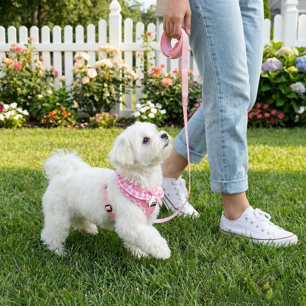 Upgraded Soft Mesh Dog Harness, Super Breathable Lightweight Pet Harnesses for Puppy Dogs Outdoor Walking, Pink Dog Harness and Dog Leash Set Packing -Small