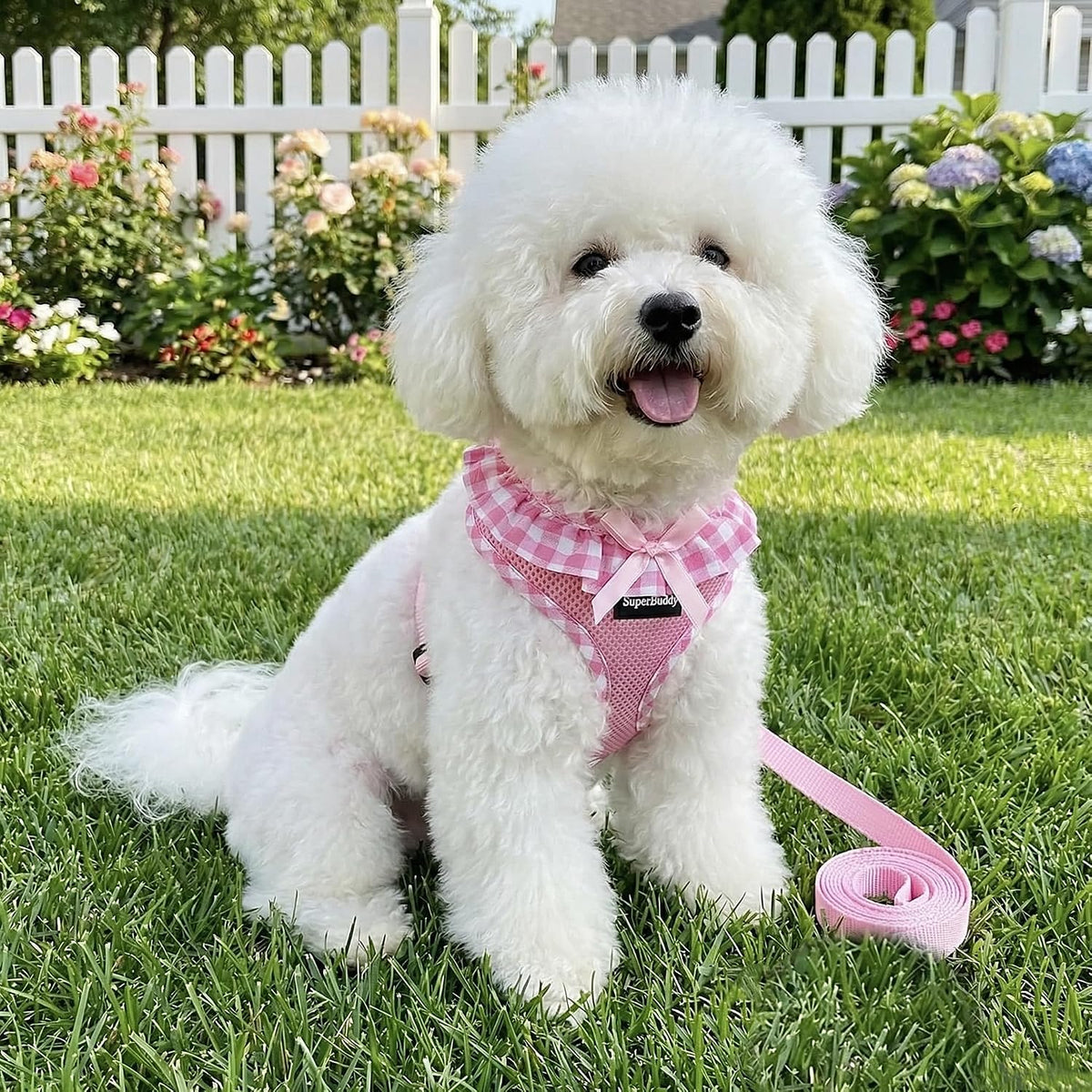 Upgraded Soft Mesh Dog Harness, Super Breathable Lightweight Pet Harnesses for Puppy Dogs Outdoor Walking, Pink Dog Harness and Dog Leash Set Packing -Small