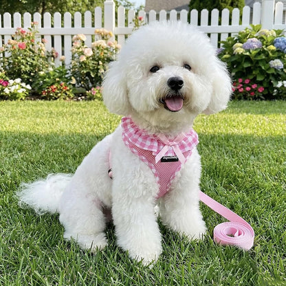 Upgraded Soft Mesh Dog Harness, Super Breathable Lightweight Pet Harnesses for Puppy Dogs Outdoor Walking, Pink Dog Harness and Dog Leash Set Packing -Small