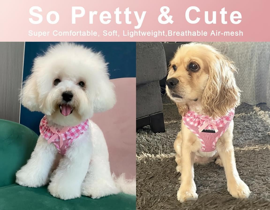 Upgraded Soft Mesh Dog Harness, Super Breathable Lightweight Pet Harnesses for Puppy Dogs Outdoor Walking, Pink Dog Harness and Dog Leash Set Packing -Small