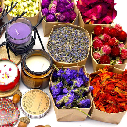 9 Bags Set Dried Flowers Artisan Dried Flower Kit - Candle Making Soap Making DIY Candel Natural Flowers-Lemon,Lavender,Roseleaf,Pink Rose,Red Rose,Jasmine,Rose Petal and More