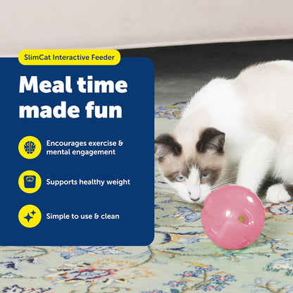 Slimcat Feeder Ball Cat Toy, Pink