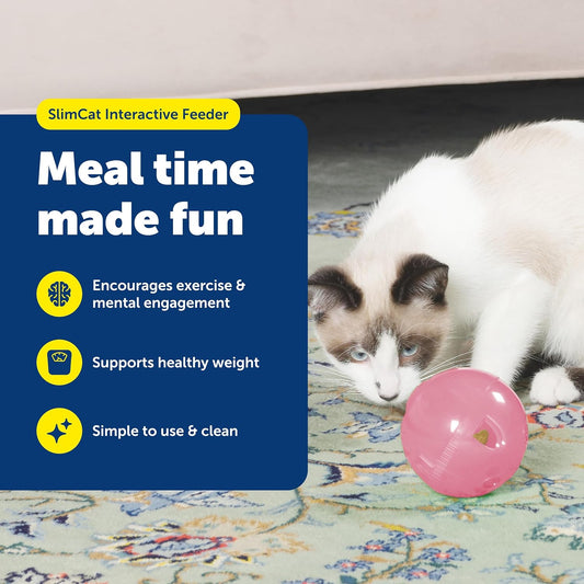 Slimcat Feeder Ball Cat Toy, Pink