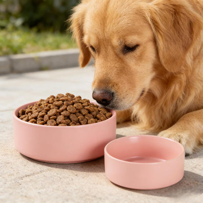 Premium Ceramic Dog Bowl, Pink, 28 OZ