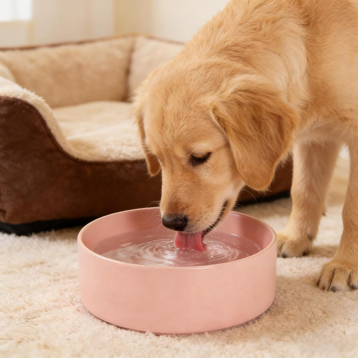 Premium Ceramic Dog Bowl, Pink, 28 OZ
