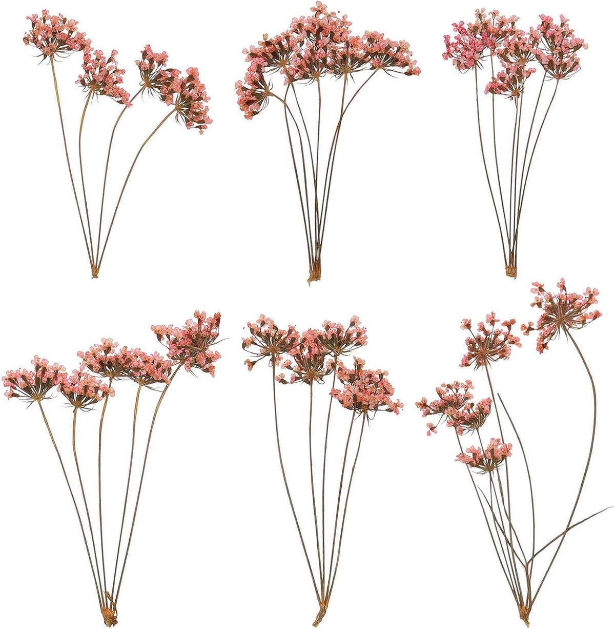 6 Pcs Natural Dried Pressed Flowers for Craft, Lace Real Pressed Dried Flowers Colorful Bouquets for Resin Moulds DIY Scrapbooking Candle Jewelry Making, Pink