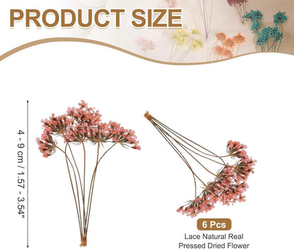 6 Pcs Natural Dried Pressed Flowers for Craft, Lace Real Pressed Dried Flowers Colorful Bouquets for Resin Moulds DIY Scrapbooking Candle Jewelry Making, Pink