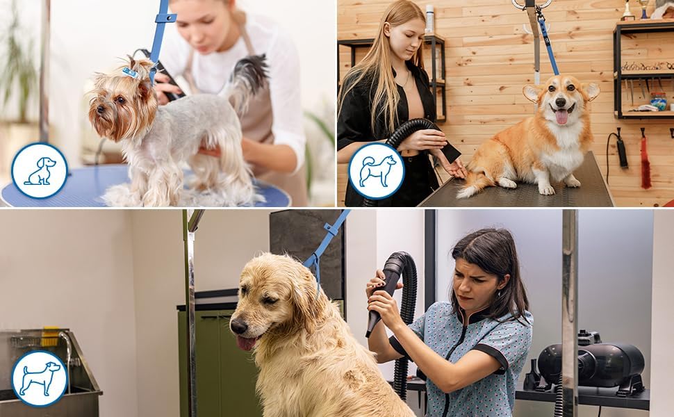 Prestige Elite - Set of 6 - Groomers Helper, Grooming Loops for Dogs Groomers - Adjustable Biothane Dog Grooming Belly Band, Grooming Noose, Extension Strap, Suction Cup & Dog Grooming Loop