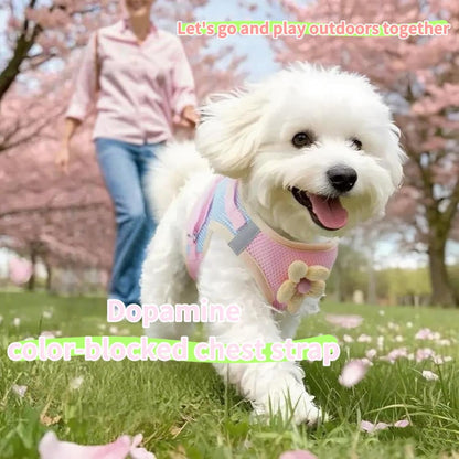 Floral Mesh Dog Harness with Matching Leash, Pink, L (16-20lbs)