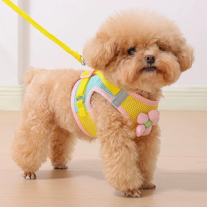 Floral Mesh Dog Harness with Matching Leash, Pink, L (16-20lbs)