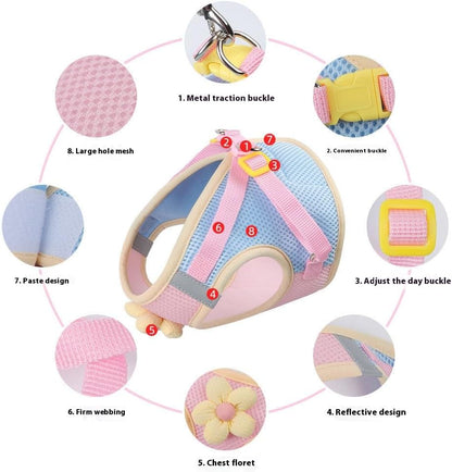 Floral Mesh Dog Harness with Matching Leash, Pink, L (16-20lbs)