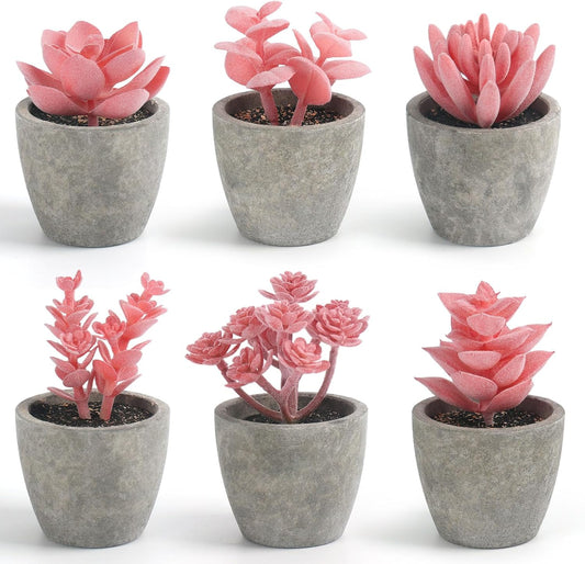 Set of 6 Artificial Pink Succulent Plants Potted