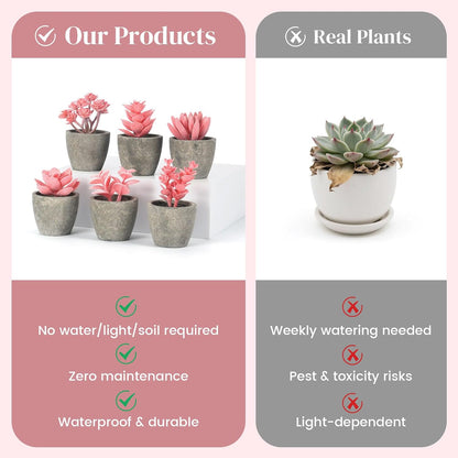 Set of 6 Artificial Pink Succulent Plants Potted