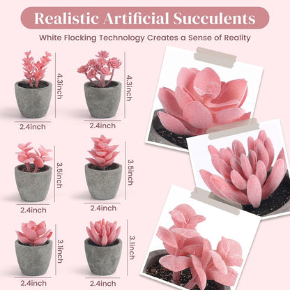 Set of 6 Artificial Pink Succulent Plants Potted