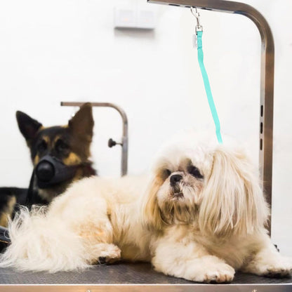 GROOMER ESSENTIALS Quick Release Loop - Turquoise