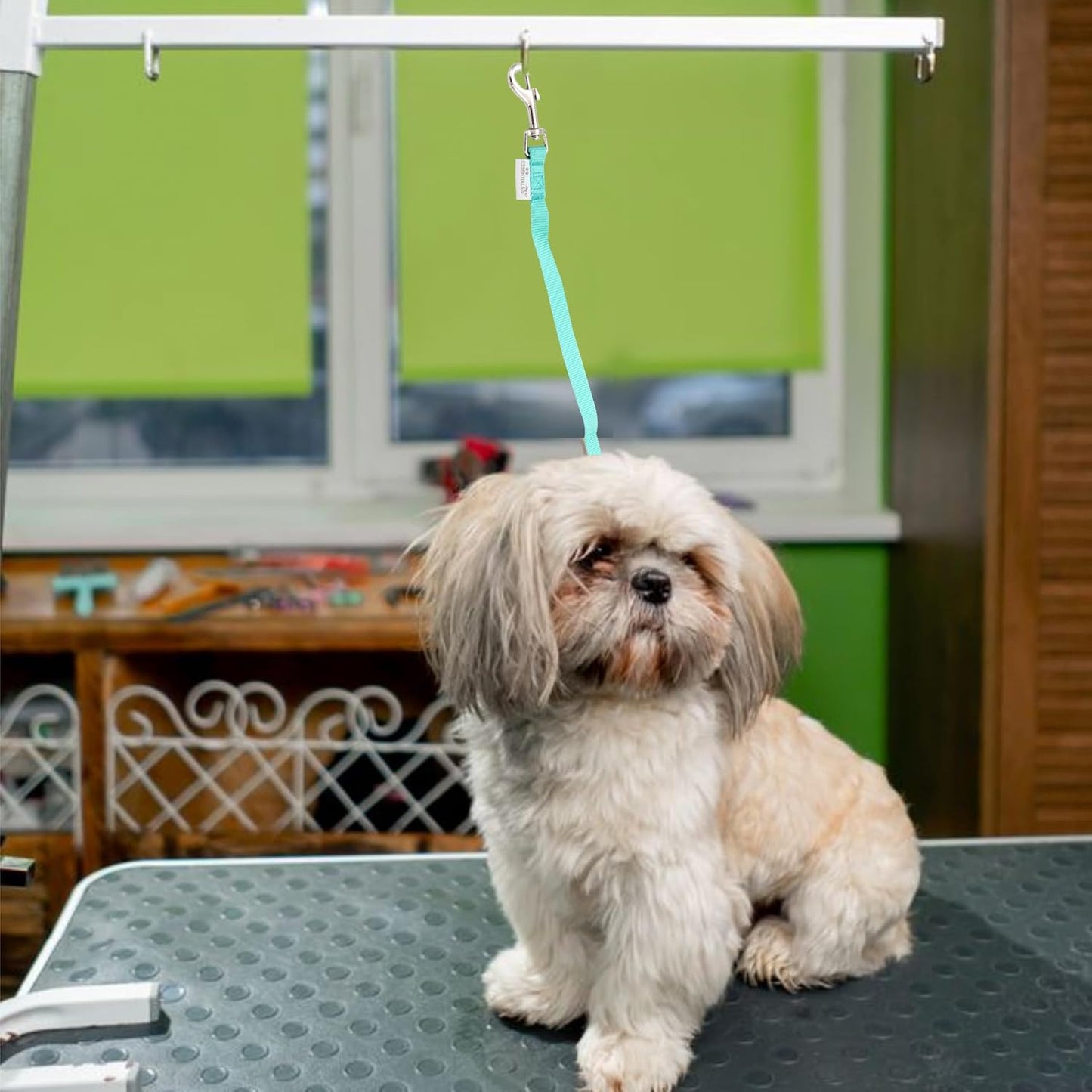 GROOMER ESSENTIALS Quick Release Loop - Turquoise