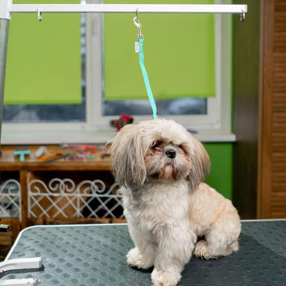 GROOMER ESSENTIALS Quick Release Loop - Turquoise