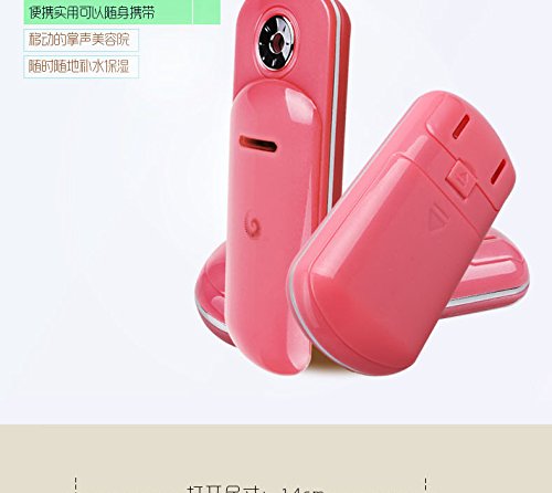 HiiBabyPortable Nano Face Steam Moist Spray Facial Moisturizing Mist Atomization Mister Skin Care Beauty Apparatus Watermelon (Pink)