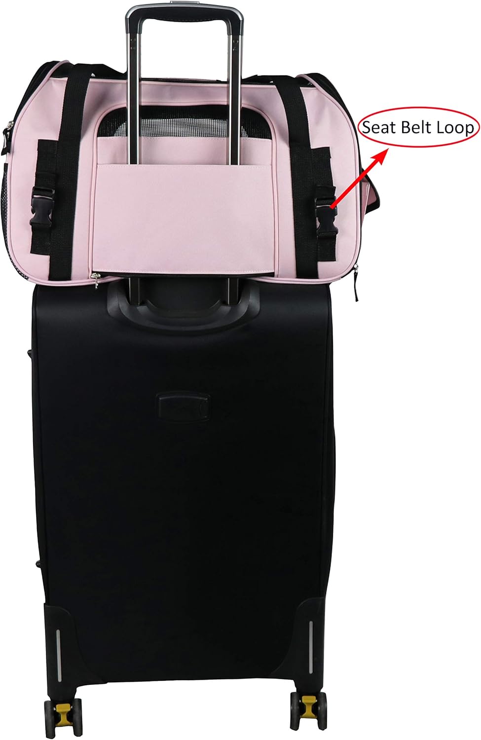 Soft-Sided Pet Carrier for Cats & Small Dogs (3-Year Warranty)