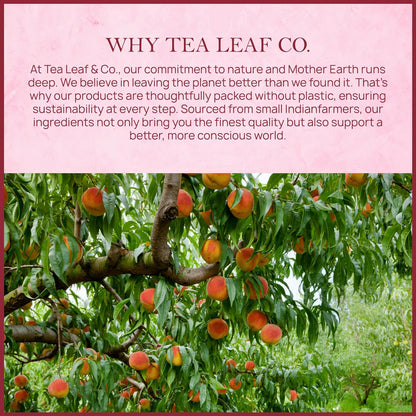 . Peach Ginger Tea Blended with Organic Spices - Organic Black Tea Bags with Ginger & Peach Flavor - Flavored Blend with Low Caffeine - Gluten Free - 50 Teabags