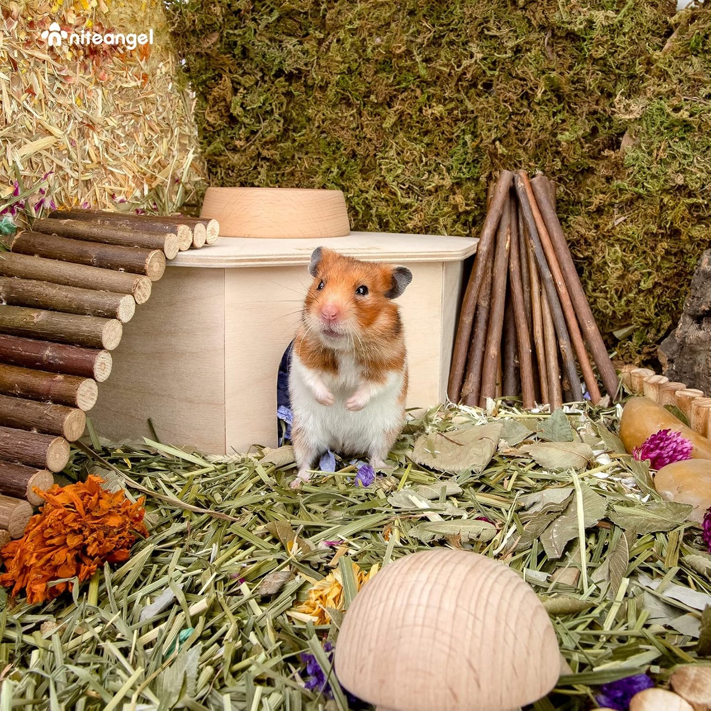 Niteangel Birch Chamber-Maze Hamster Hideout - Small Pets Woodland House Habitats Decor for Hamster Mice Gerbils Mouse