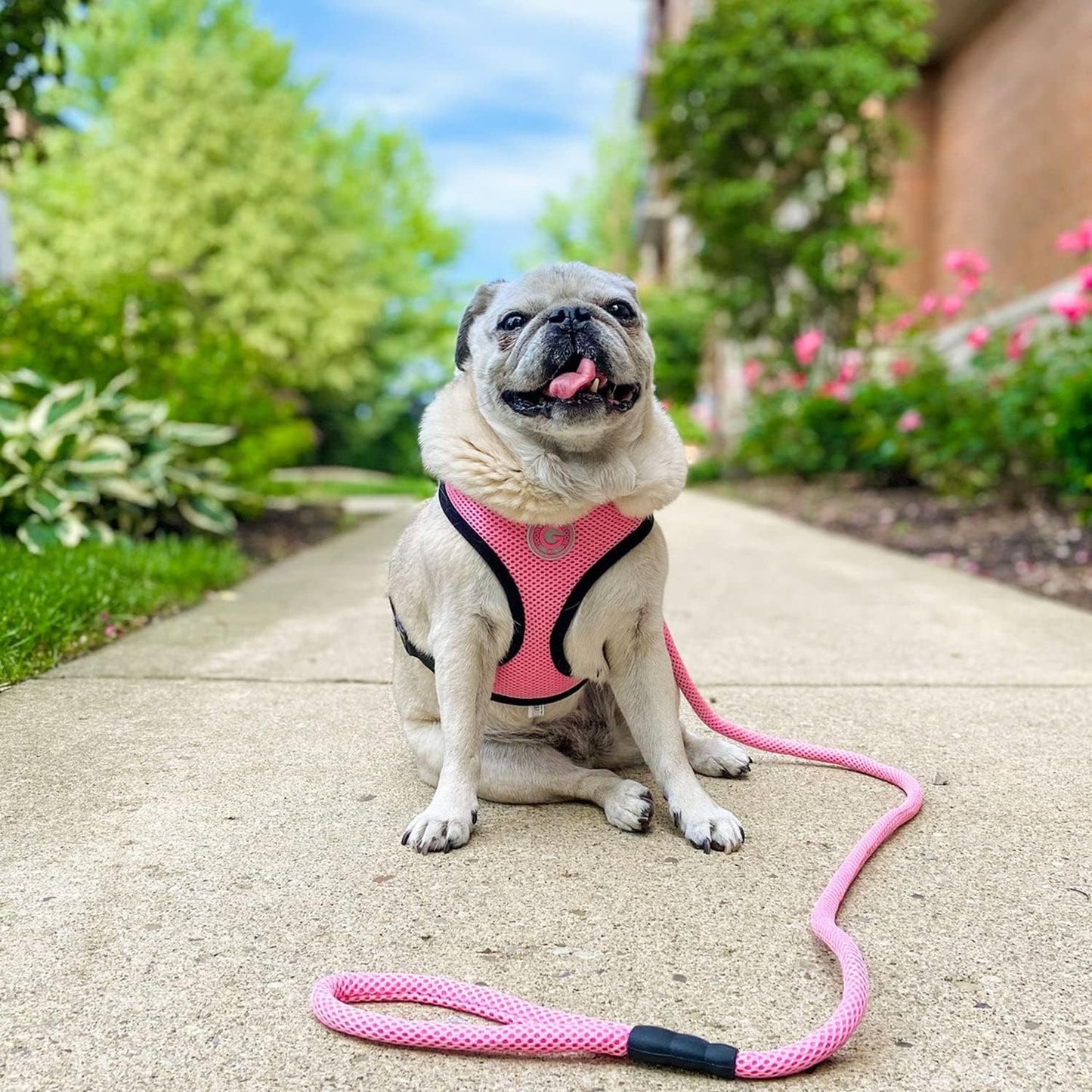 Mesh Leash - Pink, 4 FT - Breathable Mesh 4 Foot Leash for Small Dogs with Bolt Snap Clasp - On The Go Dog Leashes for Small, Medium, and Large Dogs