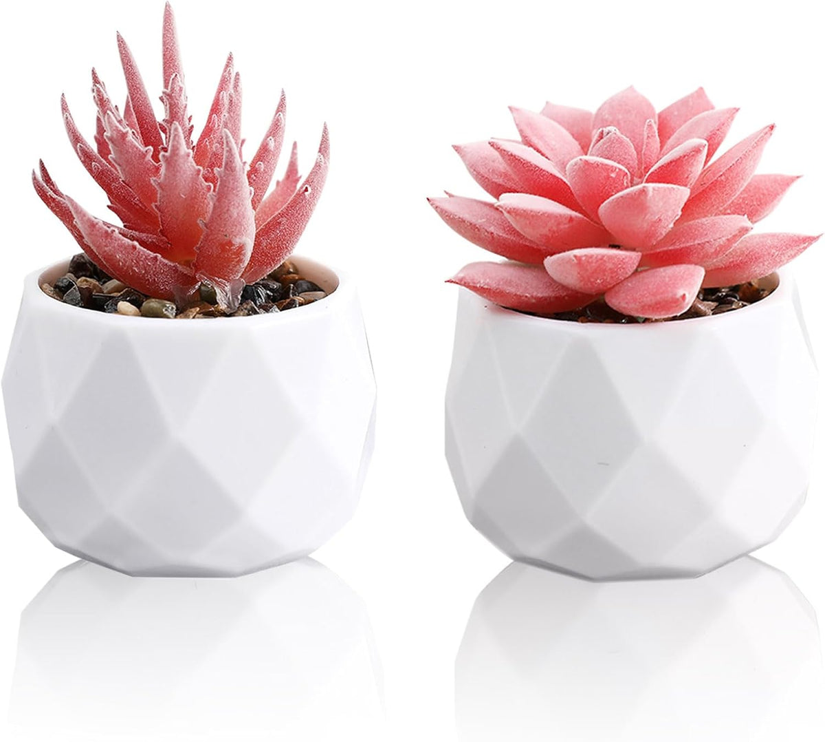 2 Pack Artificial Succulents in White Ceramic Pots