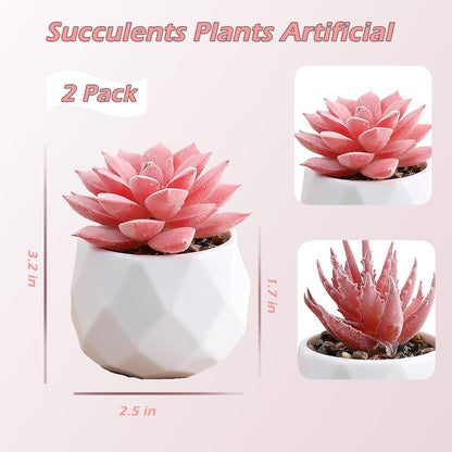 2 Pack Artificial Succulents in White Ceramic Pots