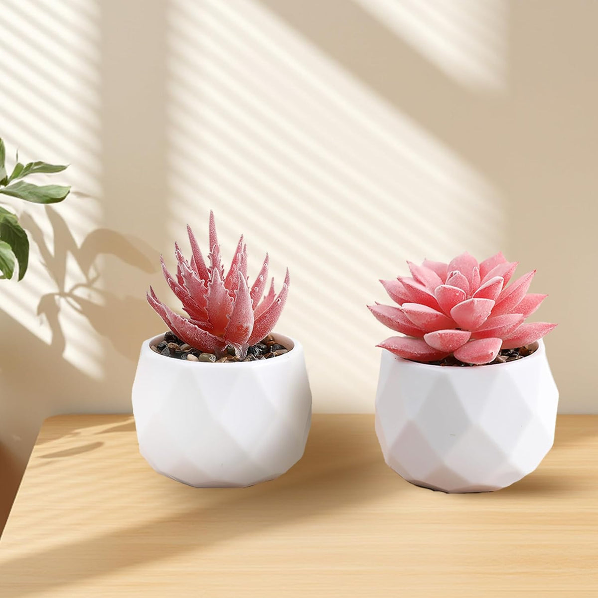 2 Pack Artificial Succulents in White Ceramic Pots