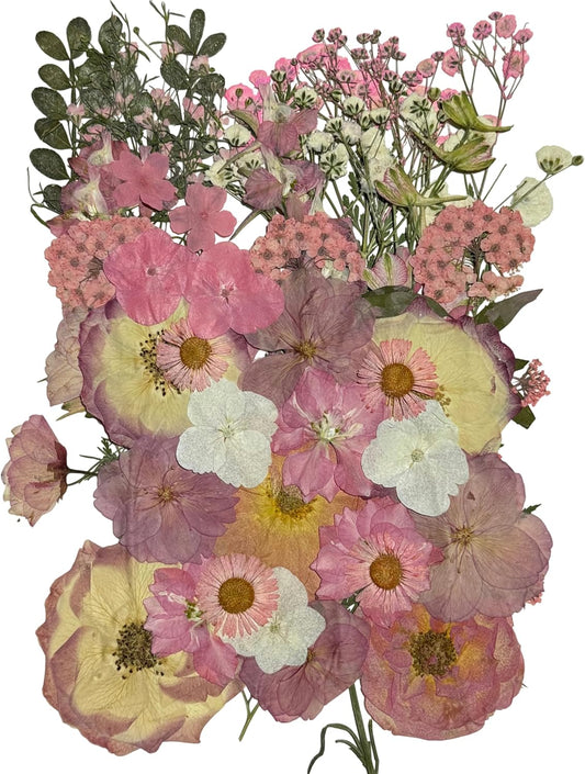 Pink Dried Pressed Natural Flowers for Resin Candle Soap Card DIY Decor | mixed pressed real flowers, with rose & green leaves, perfect for epoxy resin,scrapbook, frame and wedding DIY floral art