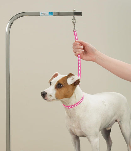 Top Performance Basic Grooming Loops - Versatile Nylon Loops to Secure Dogs on Tabletops While Grooming - 18", 4-Pack