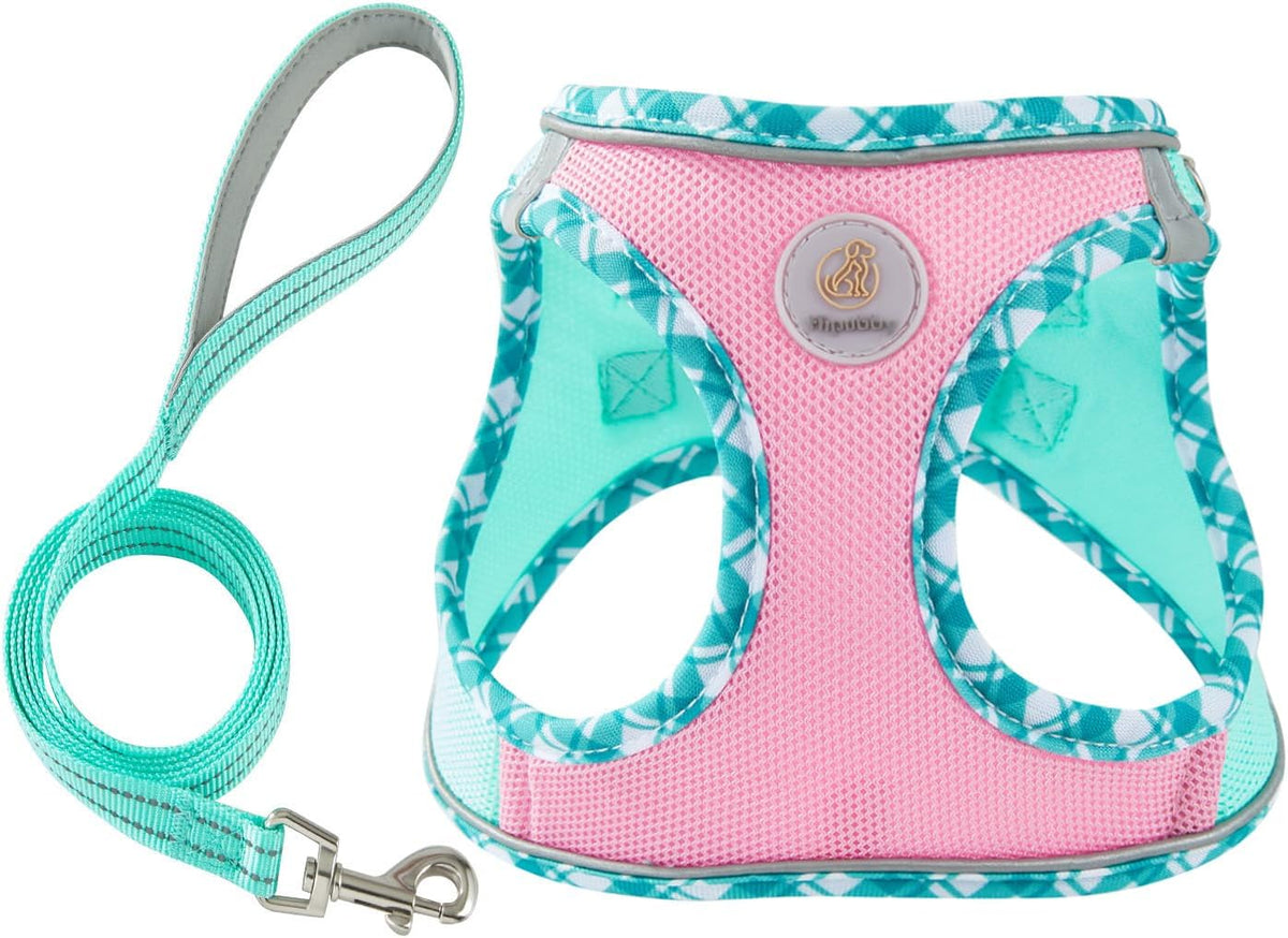 Dog Harness Small Sized and Leash Set, No Pull Soft Mesh Puppy Vest, Reflective Breathable Lightweight Pet Harness, Harness for Small Medium Dogs and Cats - Pink Green, XS