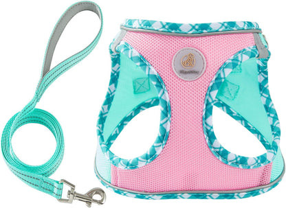 Dog Harness Small Sized and Leash Set, No Pull Soft Mesh Puppy Vest, Reflective Breathable Lightweight Pet Harness, Harness for Small Medium Dogs and Cats - Pink Green, XS