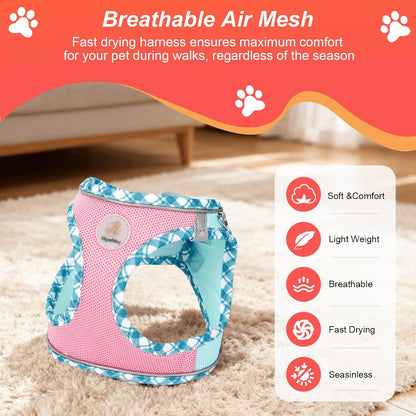 Dog Harness Small Sized and Leash Set, No Pull Soft Mesh Puppy Vest, Reflective Breathable Lightweight Pet Harness, Harness for Small Medium Dogs and Cats - Pink Green, XS
